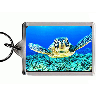 3D KEYRING TURTLE